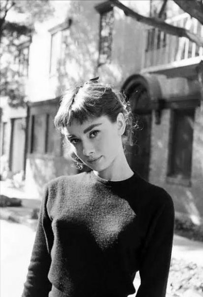 世界上最好看的女人有谁