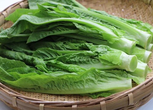 烘干机可以烘干的蔬菜有哪些