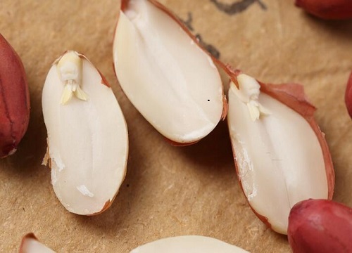 花生怎么洗才干净