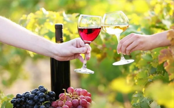 红酒后劲为什么那么大