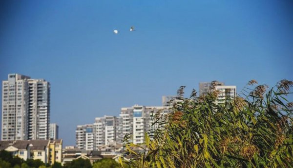 无锡哪些景点不要门票