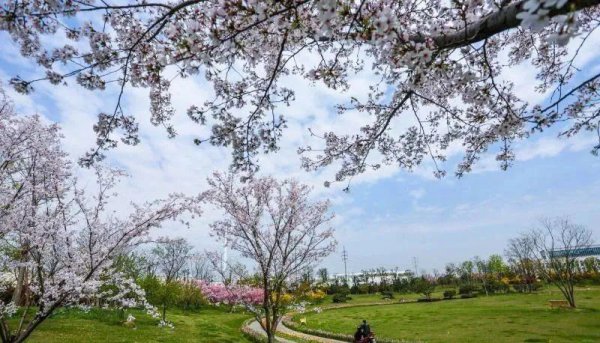 无锡哪些景点不要门票