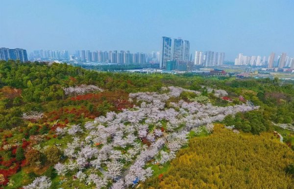 无锡哪些景点不要门票