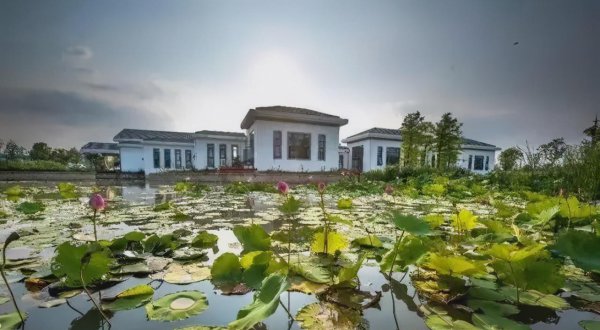 无锡哪些景点不要门票