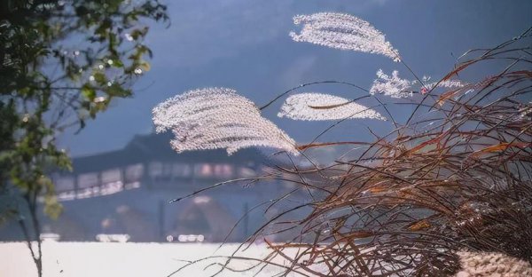 无锡哪些景点不要门票