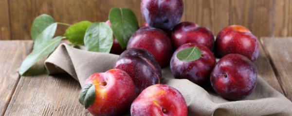 李子能和杨梅一起吃吗