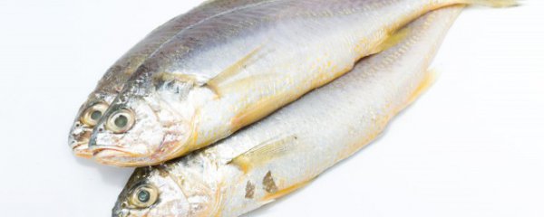 煎黄花鱼的家常做法