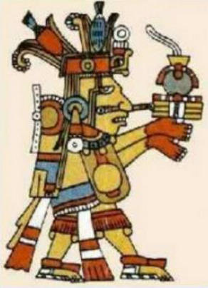 玉米原产地所在的大洲是哪里