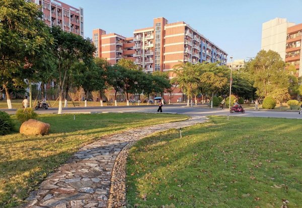 广东450分的公办大学有哪几所