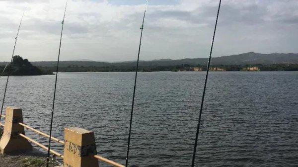 抛竿和路亚竿有什么区别