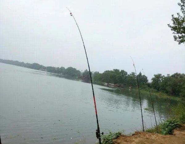 抛竿和路亚竿有什么区别