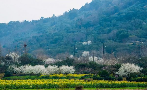 苏州周边自驾游去哪里好玩