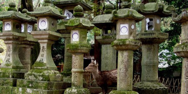 奈良是日本哪个城市位置