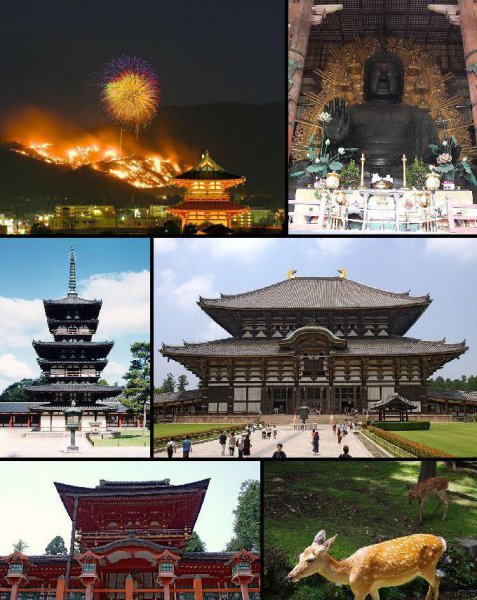 奈良是日本哪个城市位置