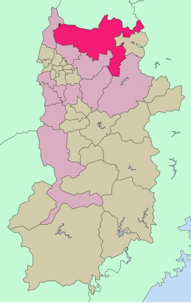 奈良是日本哪个城市位置