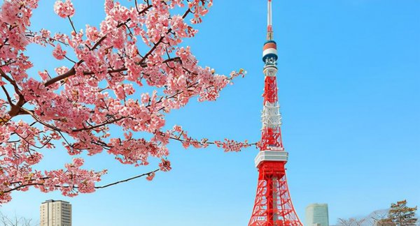 建造东京铁塔的大多材料是军事废铁