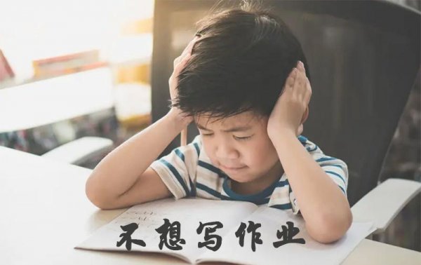 不想写作业但是作业很多怎么办