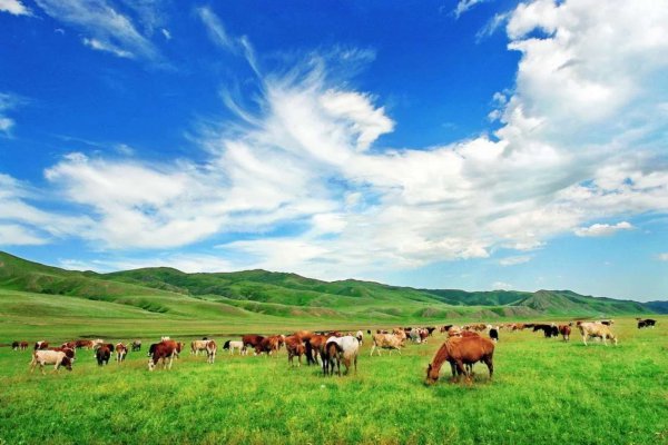 国内8月份旅游最佳地方推荐
