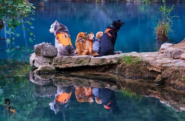 国内8月份旅游最佳地方推荐