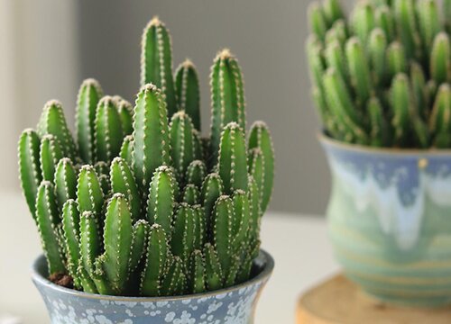 万重山风水摆放三不要