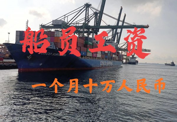 船员都有什么职位