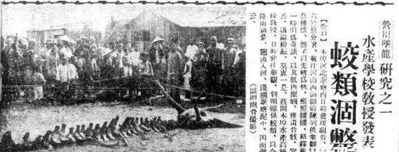 贵州回应山里有龙吟真相