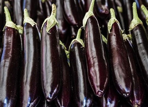 茄子的储存方法