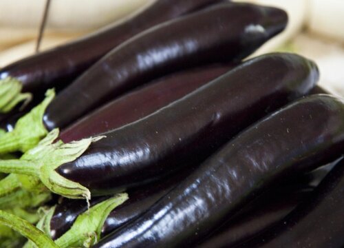 茄子的储存方法