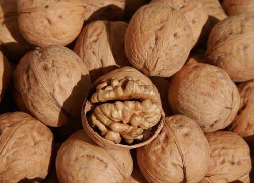 薄皮核桃和厚皮核桃哪个好更有营养