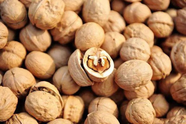 薄皮核桃和厚皮核桃哪个好更有营养