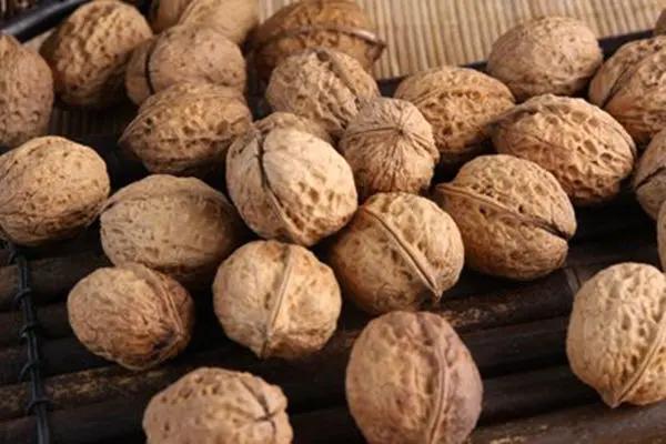 薄皮核桃和厚皮核桃哪个好更有营养