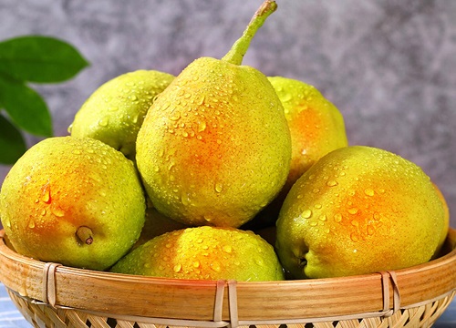 梨子什么季节成熟