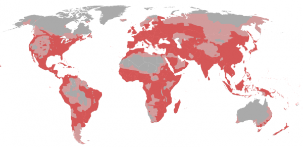 北京元谋人是什么人种