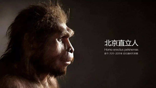 北京元谋人是什么人种