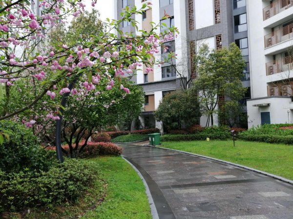 房改房是什么意思