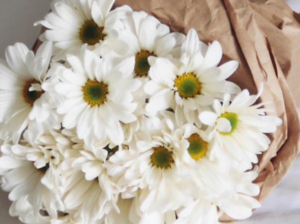 双子男开始动情的细节