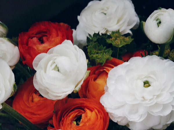 双子男开始动情的细节