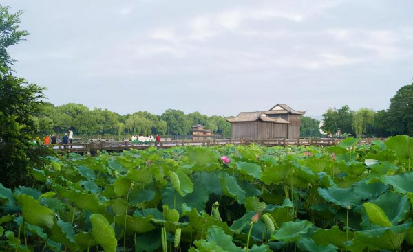 浙江省的地级市有哪些