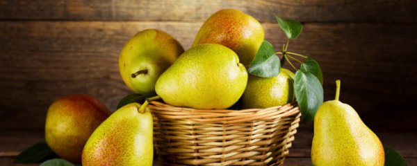 梨可以和苹果一起吃吗