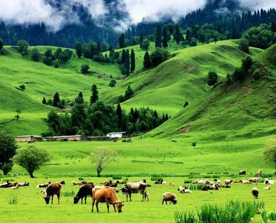 阿根廷地理位置特征及其意义