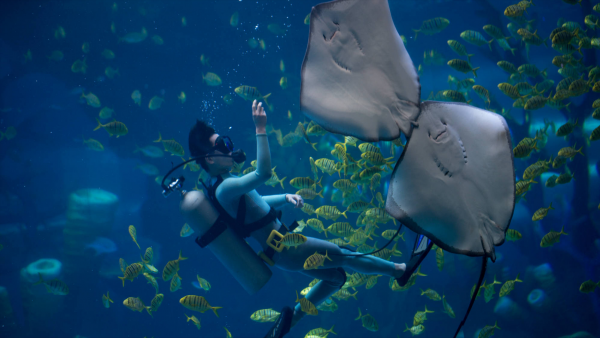 福州哪里好玩景点排名