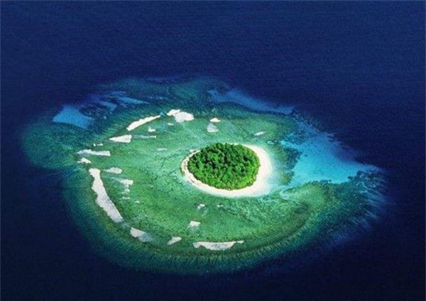 汤加是哪个国家