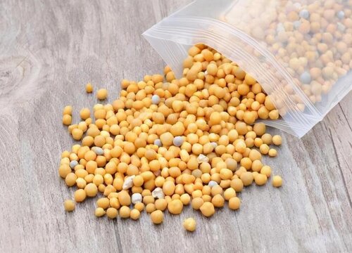 蟹爪兰可以用缓释肥吗