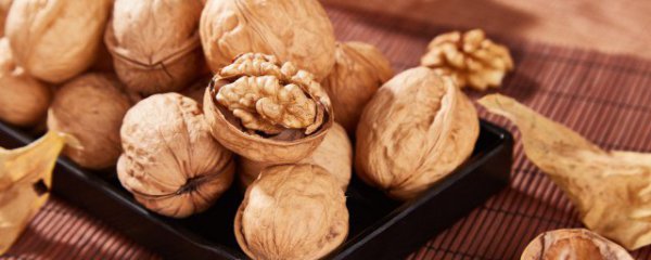 春天可以吃核桃吗