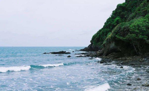 天蝎男和处女女合适吗