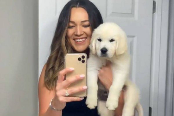 金毛几个月开始猛长