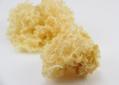 挑选什么样的银耳质量最好出胶多