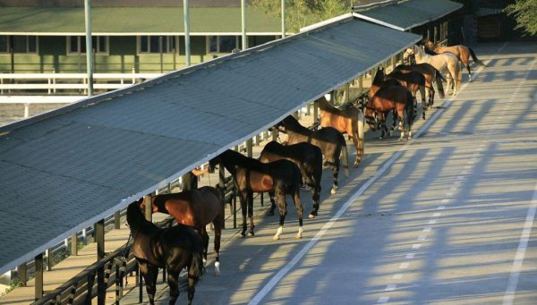 乌鲁木齐旅游攻略景点必去