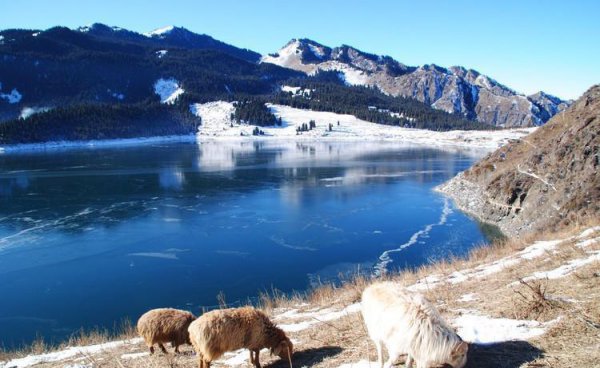 乌鲁木齐旅游攻略景点必去