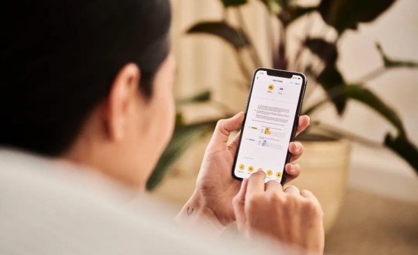 苹果ios是什么意思